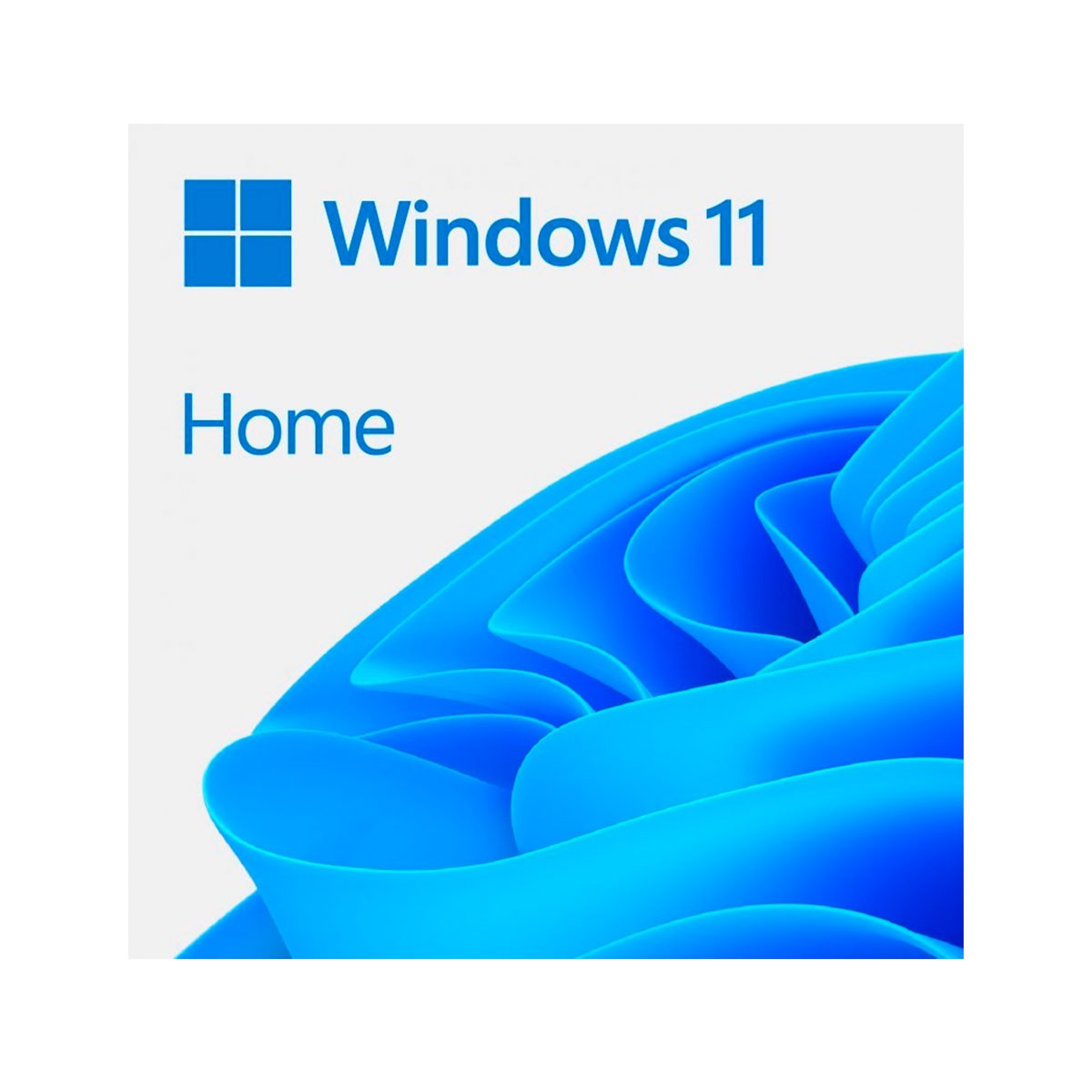 Operating System Windows 11 Home 64 Bits EN DVD OEM