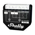 Shelly Qubino Wave 2PM
