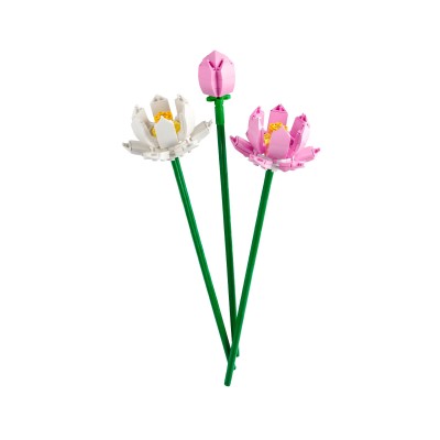 LEGO Iconic Flor de Loto - 40647