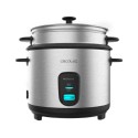 Arrozeira Elétrica Multifunções Cecotec Ricefusion 700W Prateado