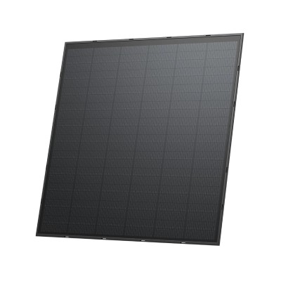 EcoFlow 250W Solar Panels...