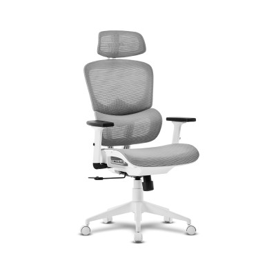 Offy Lyca Ergonomic Office...