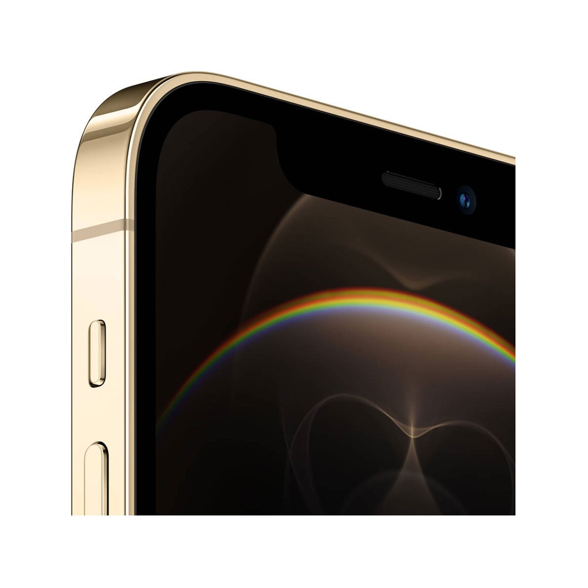 Comprar Online iPhone 12 Pro Max 256GB Dourado