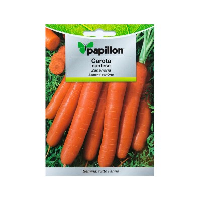Seeds of Carrot Nantese 2 7g